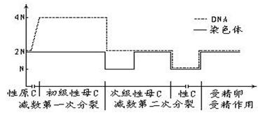 2022年湖南省妇幼保健院赠卵试管婴儿成功率、费用及流程指南