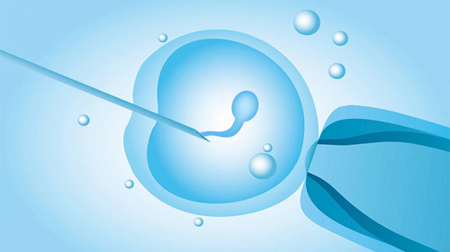 做供卵试管的过程中移植失败的胚胎去哪里了