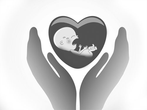 供卵试管婴儿是无性生殖还是有性生殖