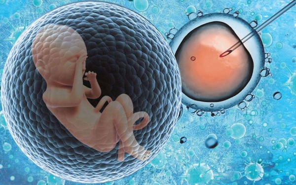 供卵试管婴儿取卵后多久可以移植囊胚