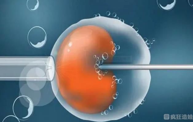 影响试管胚胎着床的因素有哪些,吃辛辣食物算吗