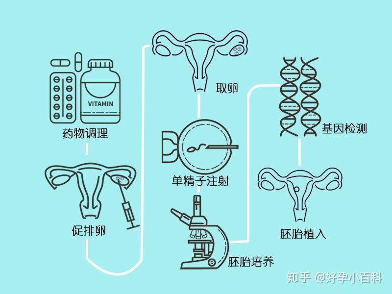 长沙去长沙境外的试管代怀机构多少钱